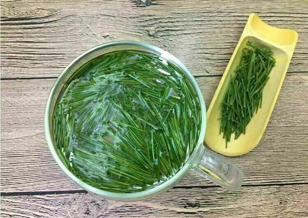 250g Pine Needle Tea Herb Medicine Healthy Anti-Aging Super Food
