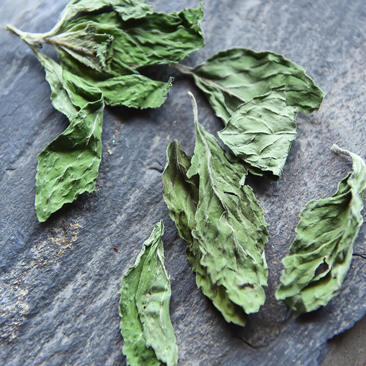 Top Grade Herbal Mentha Leave Refreshing Edible Peppermint Leaf Tea Green Food