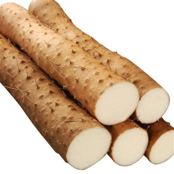 HelloYoung 100g Organic 100% Yam Rhizome Powder Herbal Tea Top Grade Purely Natural Extract