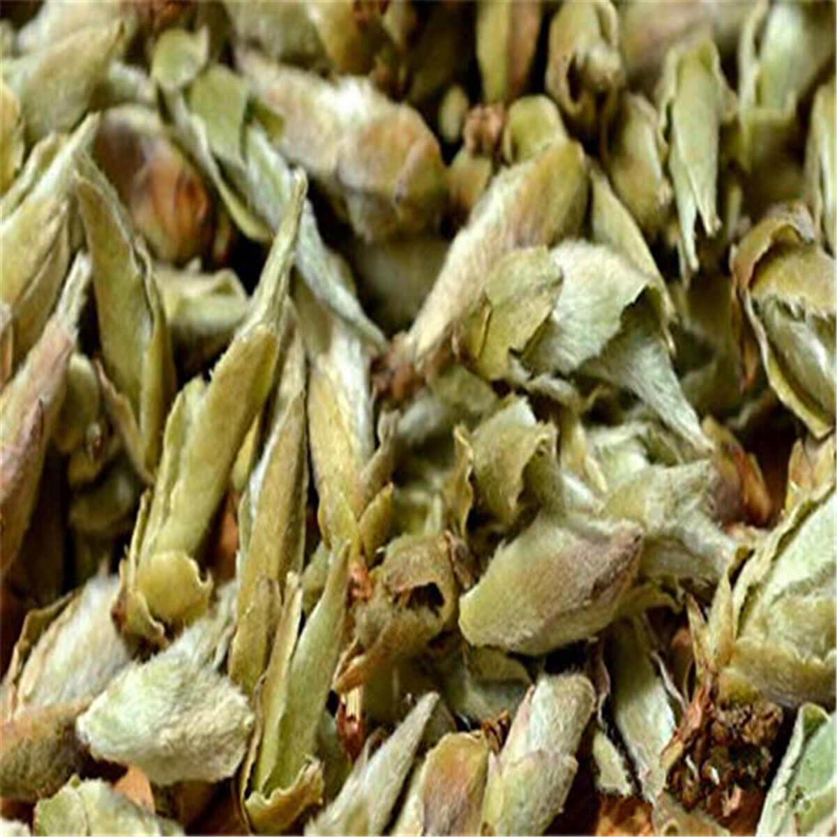 HelloYoung Anti-age Special Organic Loose White Tea Puerh Tree Buds Wild Cha Puer Tea 100g
