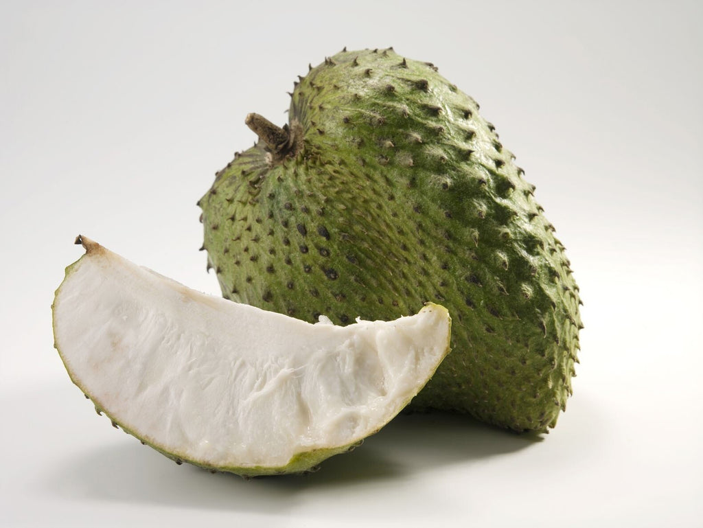 Annona Muricata Guanabana Herbal Tea 100 Tea Bags Pure Leaf Soursop
