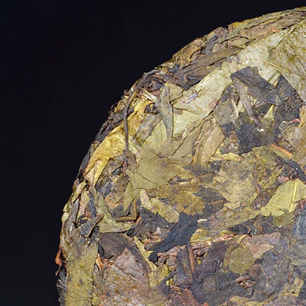 HelloYoung Big Leaf Ancient Tree Golden Leaf Snowy Mountain Yunnan Puerh Tea Cha Tea 357g