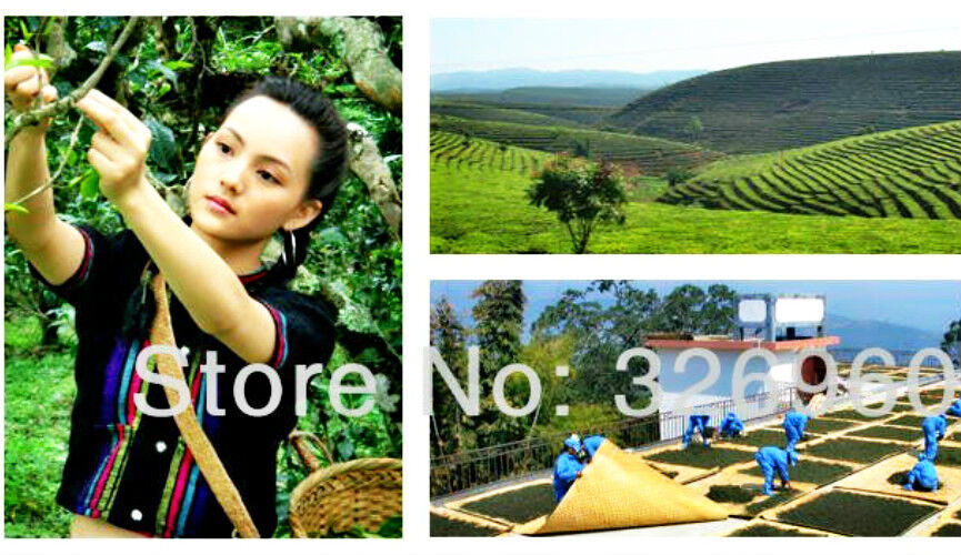 HelloYoung Chinese Ripe Tea Natural Organic Black Tea Healthy Drink Yunnan Pu Erh Tea 357g