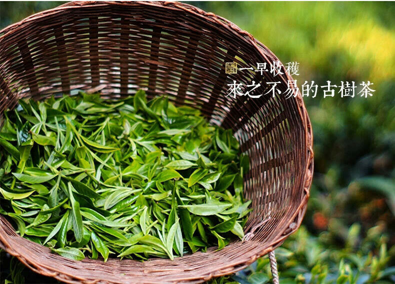 Super Puerh Tea Ripe Organic Cooked Pu er Tea Black Tea Green Food Puer Tea 330g