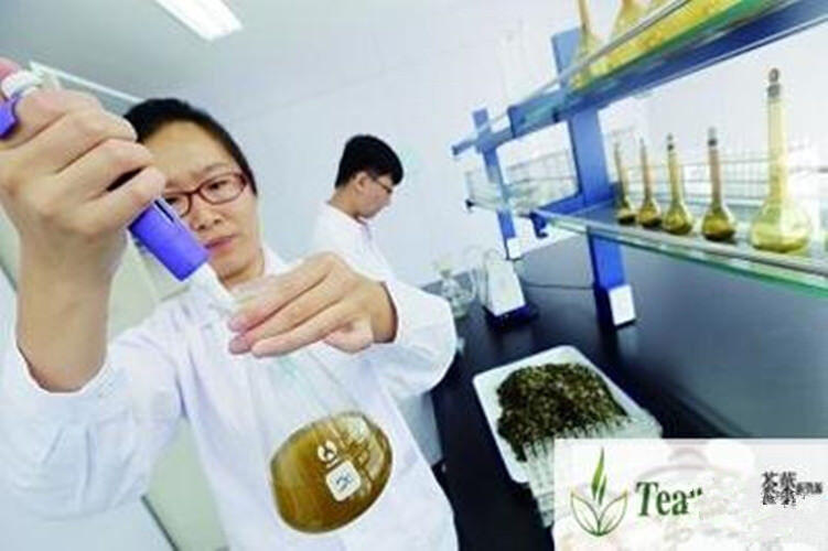 HelloYoung 100g Organic 100% Yam Rhizome Powder Herbal Tea Top Grade Purely Natural Extract
