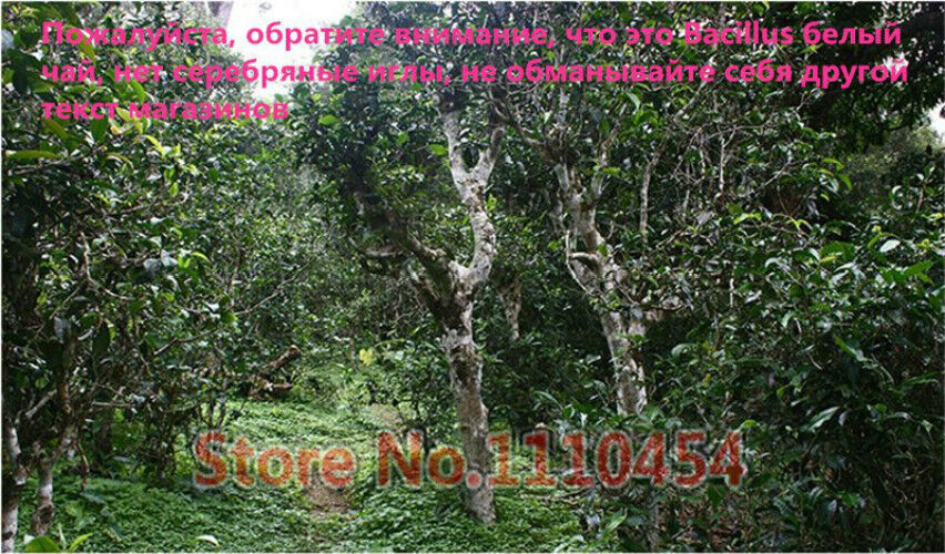 HelloYoung 100g Specials Organic Loose White Tea Pu Er Buds Wild Pu'er Tea China Puerh cha