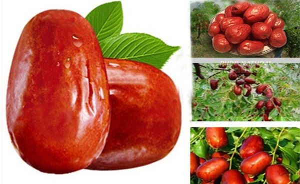 HelloYoung Organic Jujube Yu-date Chun Dates Beauty Good Date Chinese Date Premium 250g Zao