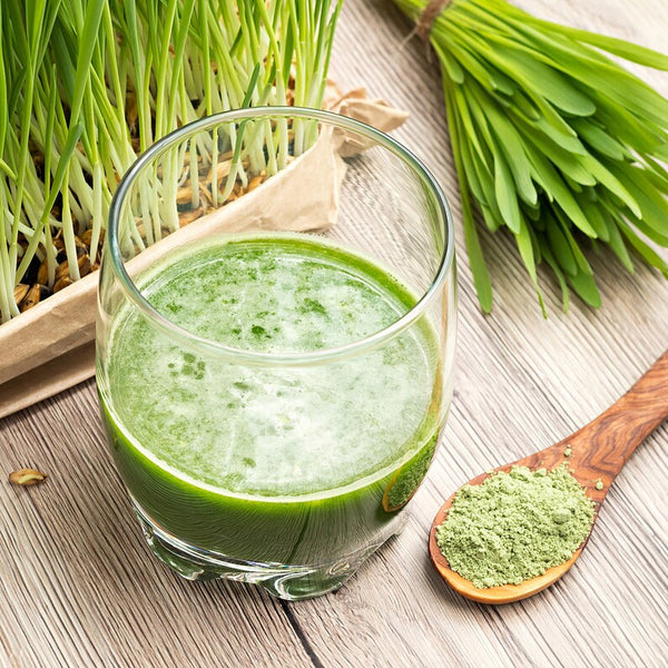 HelloYoung Organic Barley Grass Powder original 250g barley grass official store pure organic barley RAW, GREENISH LIKE LEAVES, NO PRESERVATIVE,NON GMO