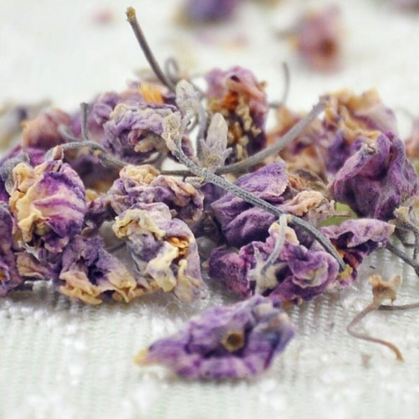 HelloYoungTea Luo Bu Ma Apocynum Venetum Herbal Tea
