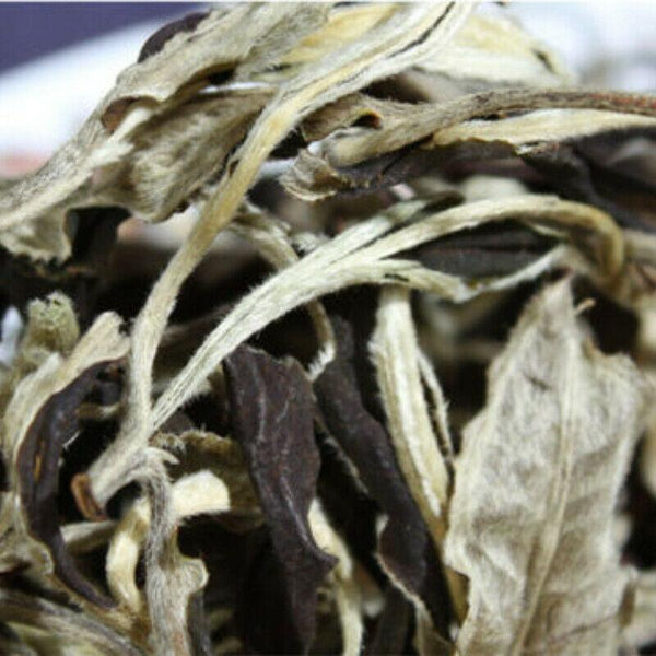 HelloYoungTea Yunnan Jing Gu Puer Moonlight White Buds Pu'er Puerh Loose Leaf Tea Raw 100g