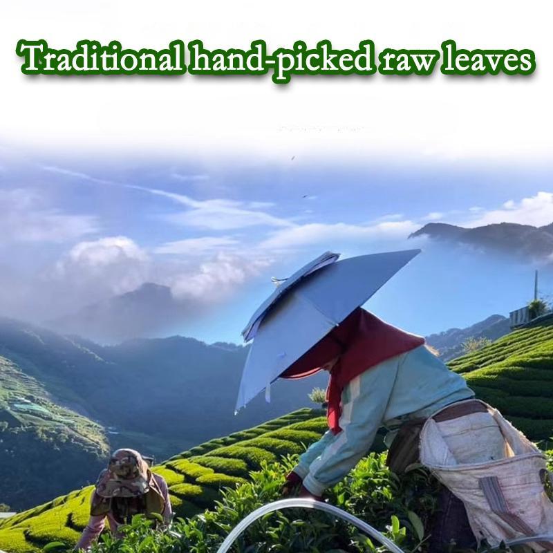 HelloYoungTea HelloYoung Taiwan Milk Oolong Jinxuan Oolong Alishan High Mountain Oolong Tea 250g Hand Harvested  Strong aroma resistant to brewing