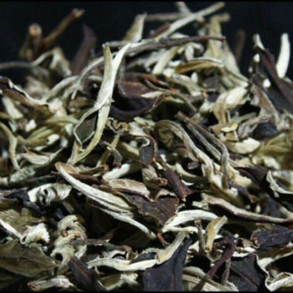 HelloYoungTea Yunnan Jing Gu Puer Moonlight White Buds Pu'er Puerh Loose Leaf Tea Raw 100g
