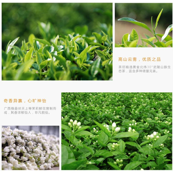 HelloYoungTea 250g Organic Jasmine Green Tea Loose Leaf Chinese Premium Natural Flower Tea