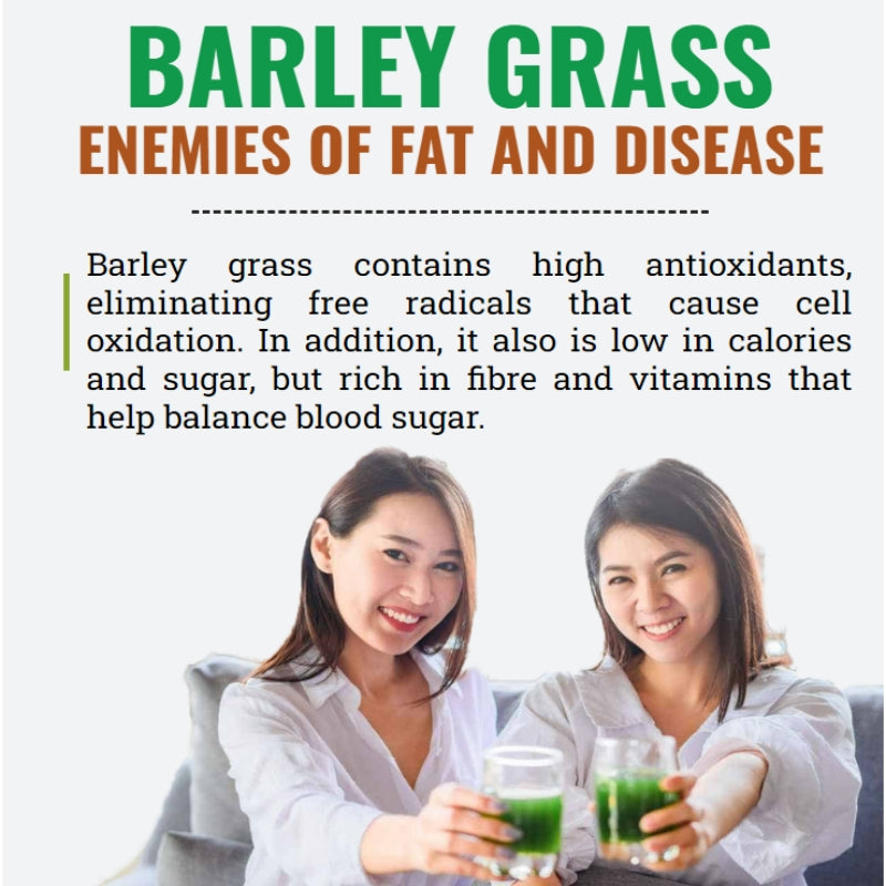 HelloYoung Organic Barley Grass Powder original 250g barley grass official store barley grass powder willy ong Vitamins, Minerals, Raw Organic Perfect Food Green Superfood
