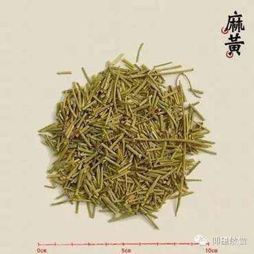 HelloYoung Herbal Tea Mohuang Green Tea Natural Muhuang Tea Raw Mo Huang Herb Tea 250g