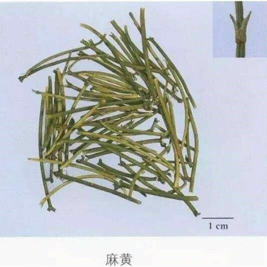 HelloYoung Herbal Tea Mohuang Green Tea Natural Muhuang Tea Raw Mo Huang Herb Tea 250g