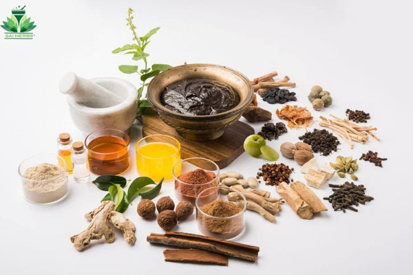 HelloYoung Somlata Pure Siddha Churan - Somavalli Siddha Churan - Soma Siddha Churan - Khanta Siddha Churan - Ephedra Gerardiana - Pure & Natural