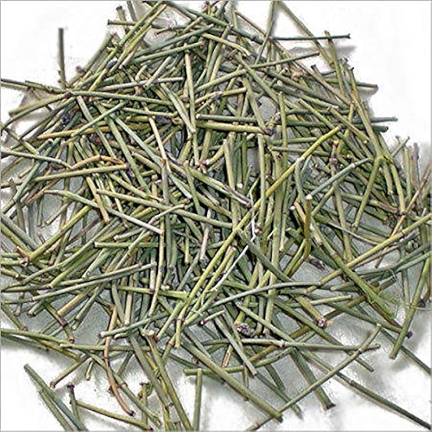 HelloYoung Pack of 1 Somlata Soma Ephedra Gerardiana 100gm