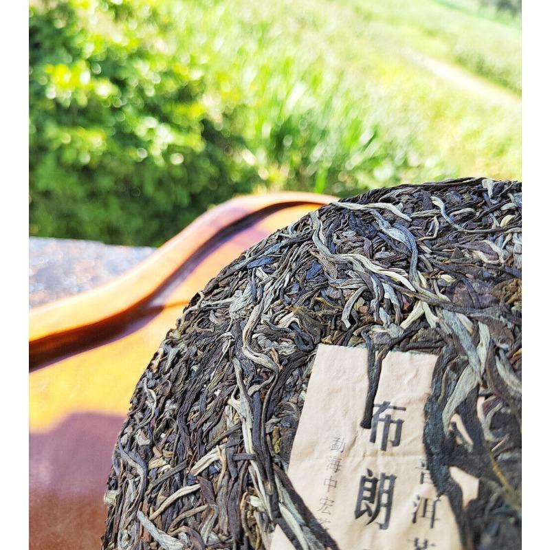 Yunnan Menghai Pu'er Tea Brown Mountain Early Spring Arbor Pu'er Raw Tea Cake