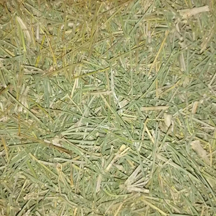 HelloYoung Mahuang Natural Ephedra Sinica Tea Mo huang Good Tea Natural Organic Flower tea 500g