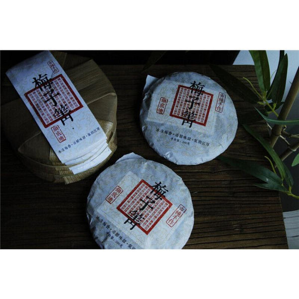 HelloYoungTea Plum Turnip Potted Pond Ancient Tree Raw Tea Cake Cold Plum Aroma and Deep Charm