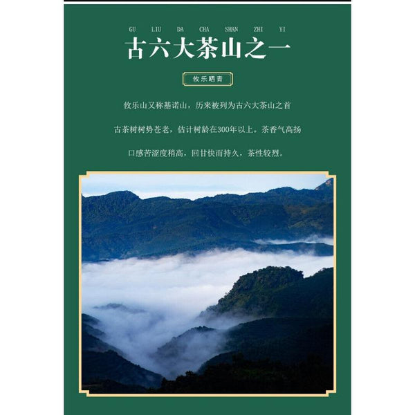 HelloYoungTea 500g Youle Mountain Orchid Fragrance Pu-erh Raw Tea First Spring Sun Green Tea