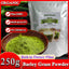 HelloYoung Organic Wheat Grass Powder 250g, Wheatgrass Powder for Immunity Support