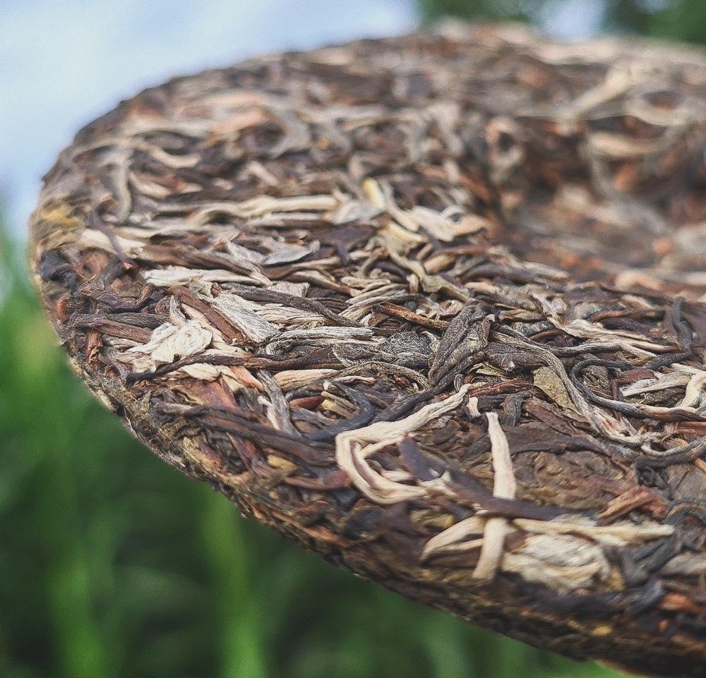 HelloYoungTea Pu'er Tea Puer Cha Tea Cake Organic Health Drink Dayi 357g Yunnan Dayi