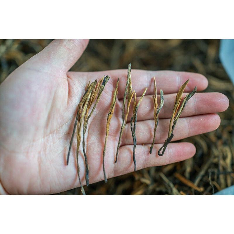 Yunnan Fengqing DianHong tea Pine Needle Un bourgeon une feuille Golden Needle