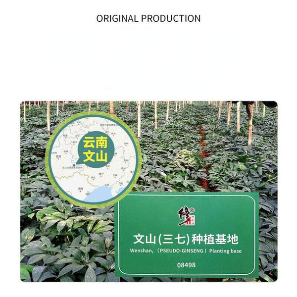 HelloYoung 50g Xiuzheng Sanqi Powder China Notoginseng Herbal Tea Powder Canned Health Care