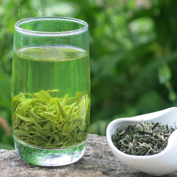 HelloYoungTea 2023 Hubei New Tea, Wushan Brand Spring Green Tea with White Tips and Strong Aroma, Yingshan Yunwu Tea 2023年湖北新茶，巫山牌白毫浓香春绿茶，英山云雾茶