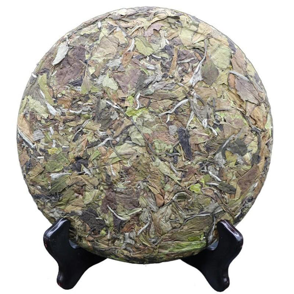 300g Fuding Organic Gong Mei Tribute Eyebrow High Mountain White Tea Shou Mei 300克福鼎有机贡眉 高山白茶 寿眉