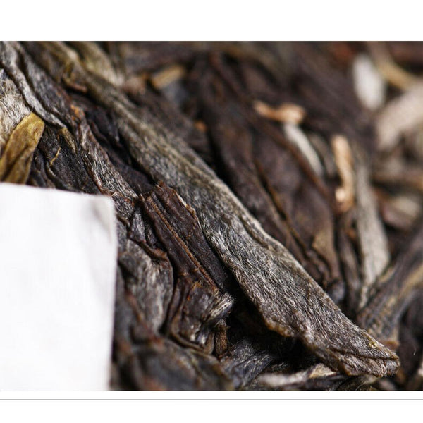 Ma Hei Famous Old Tree Pu'er 500g Haiwan Yi Wu Zheng Shan Shen Puer Tea