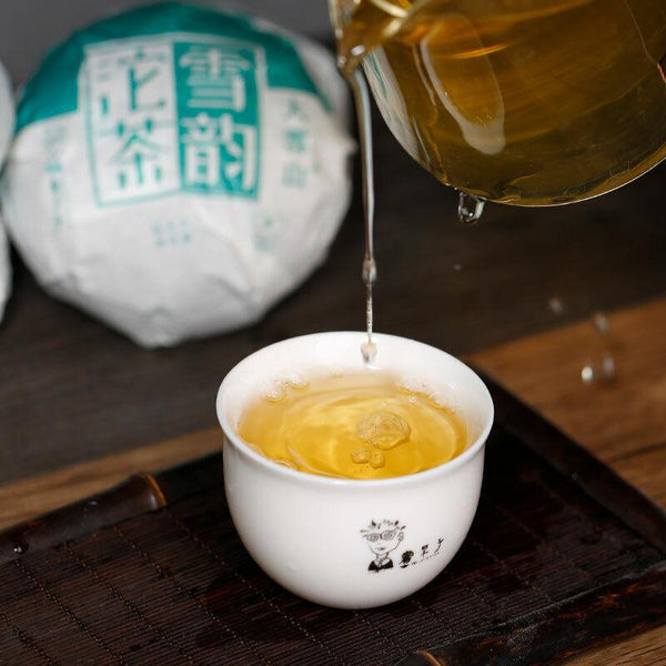 HelloYoungTea Lincang Big Snow Mountain * 2020 DR. PU'ER TEA Xueyun Tuocha Puer Raw Tea 500g