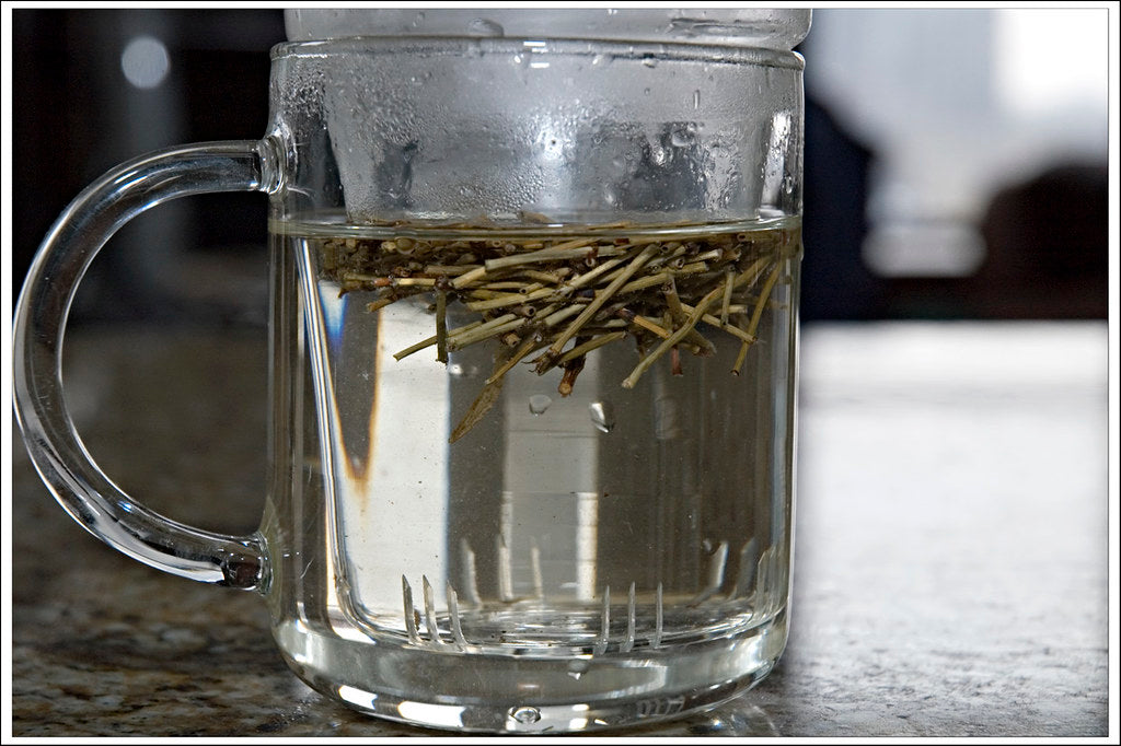 HelloYoung Somlata - Soma - Ephedra Vulgaris - Ephedra gerardiana (500 Grams)