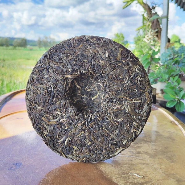 HelloYoungTea Yunnan Menghai Pu'er Tea Brown Mountain Early Spring Arbor Pu'er Raw Tea Cake