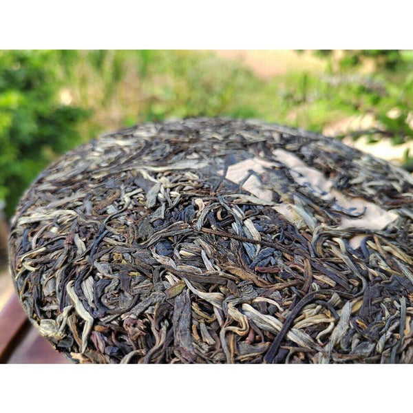 Scraping Walled Pu'er Tea Cake Yiwu Ancient Tree Raw Tea First Spring Yunnan Tea