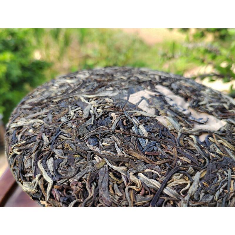 HelloYoungTea Scraping Walled Pu'er Tea Cake Yiwu Ancient Tree Raw Tea First Spring Yunnan Tea