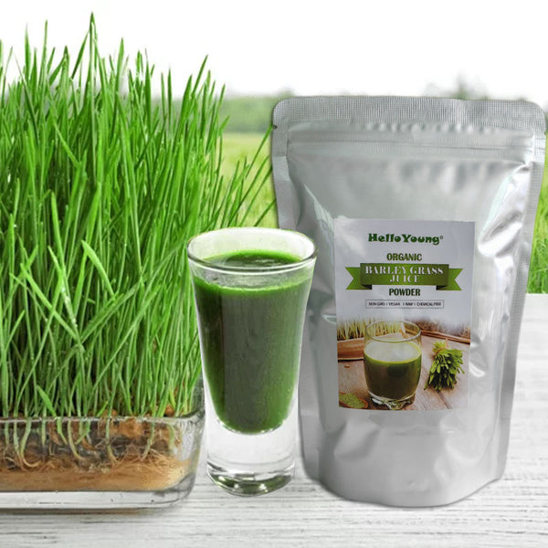 HelloYoung Organic Barley Grass Powder original 250g barley grass official store organic barley grass powder Body Detoxification and Weight Loss Barley Health Matcha Beverage