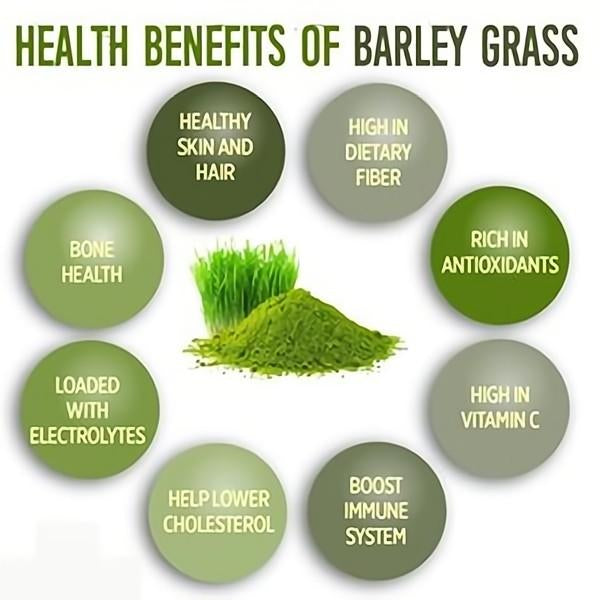HelloYoung Organic Barley Grass Powder original 250g barley grass official store pure organic barley RAW, GREENISH LIKE LEAVES, NO PRESERVATIVE,NON GMO