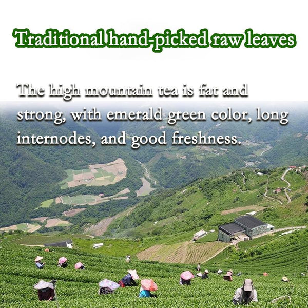 HelloYoungTea HelloYoung Jin Xuan Milk Oolong Tea 250g High Quality Tieguanyin Green Tea Milk Oolong Superior Health Care Milk Tea Strong aroma resistant to brewing