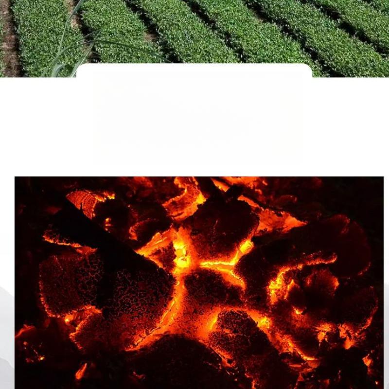 HelloYoungTea Black Oolong Tea Charcoal Technique High Concentration Strong Aroma 62 Bags