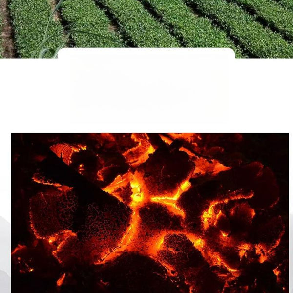 HelloYoungTea Black Oolong Tea Charcoal Technique High Concentration Strong Aroma 62 Bags