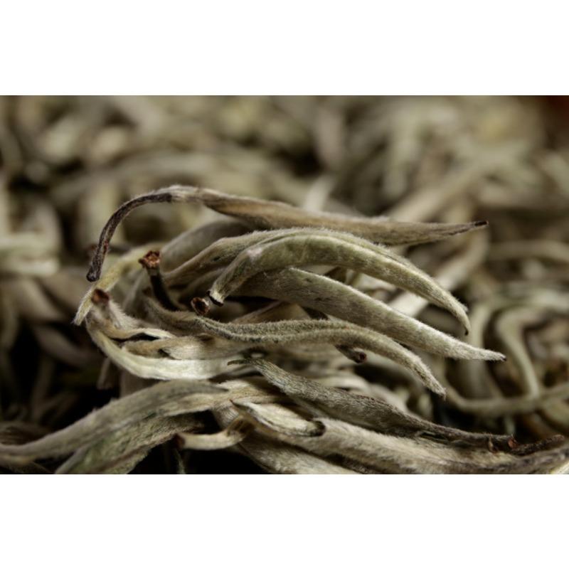 Pu'er raw tea white hair silver needle white hair single bud moonlight white tea