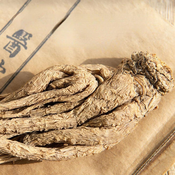HelloYoungTea Organic Dried Angelica Root Danggui Chinese Herbal Tea 250g