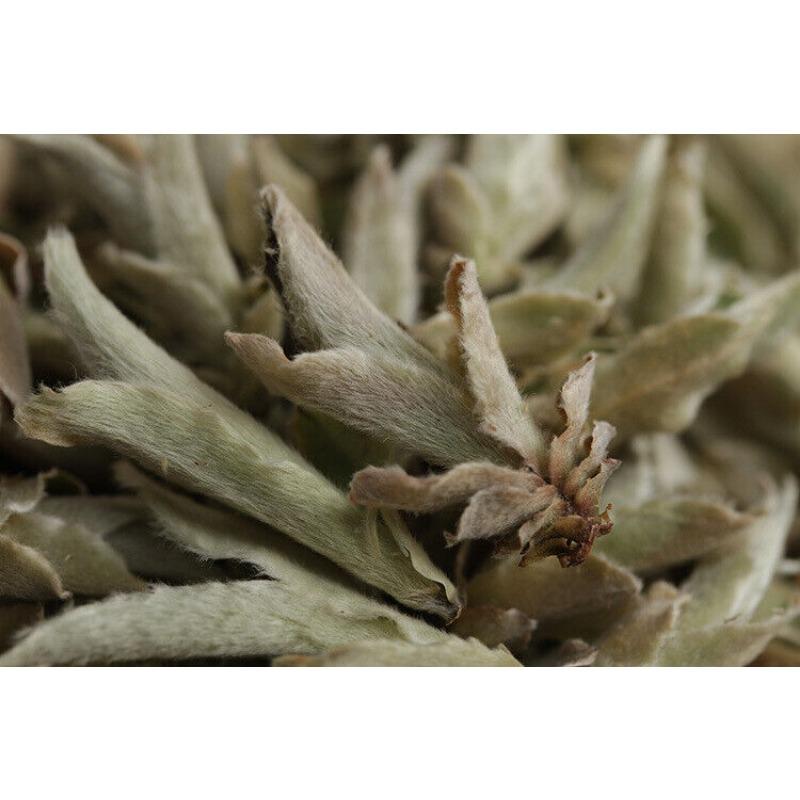 HelloYoungTea YABAO Bai Ya Bao Shen Puerh Loose Leaf Yunnan White Buds Pu-erh Tea Raw Puer