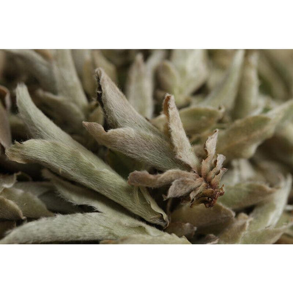 HelloYoungTea YABAO Bai Ya Bao Shen Puerh Loose Leaf Yunnan White Buds Pu-erh Tea Raw Puer