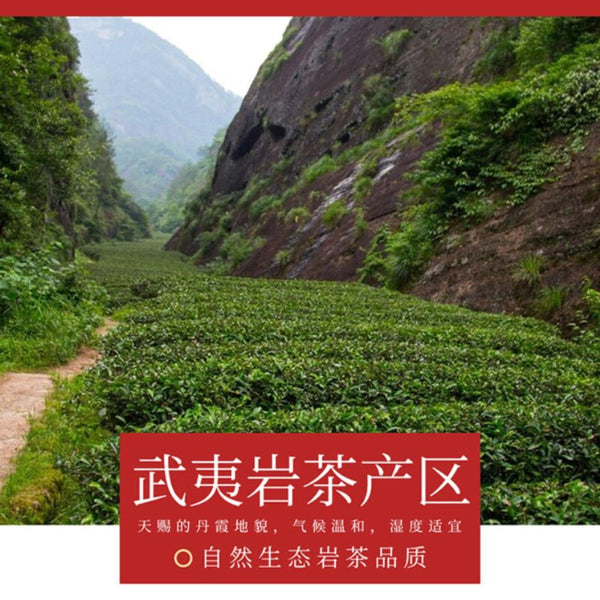 HelloYoungTea Wuyi Shui Jin Gui Oolong Tea 250g