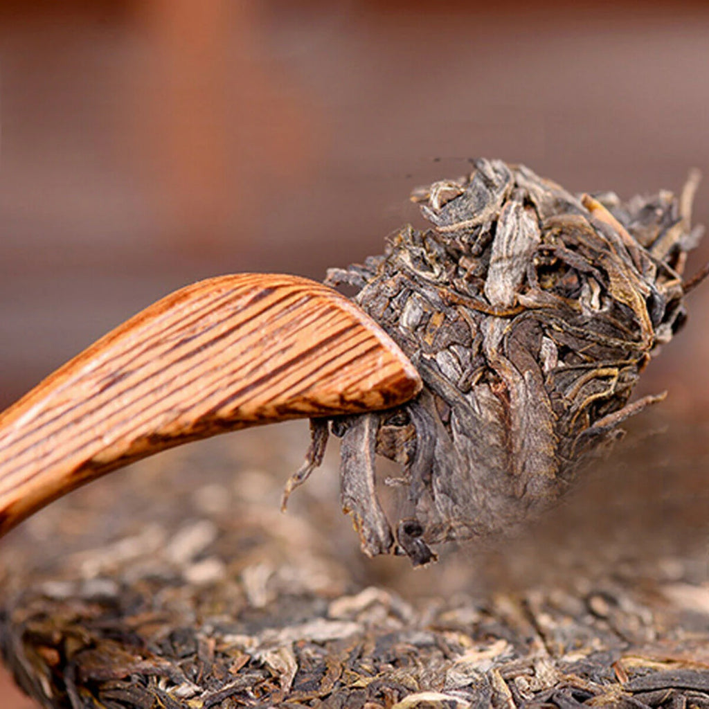 HelloYoung Pu-erh Raw Tea High Mountain Wild Ancient Trees Yunnan Sheng Puer Tea Cake 100g