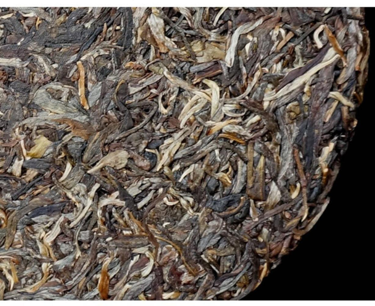 HelloYoungTea Yunnan Yiwu Guafengzhai 2021 Premium Ancient Tree Raw Pu-erh Gong Tea Cake 357g